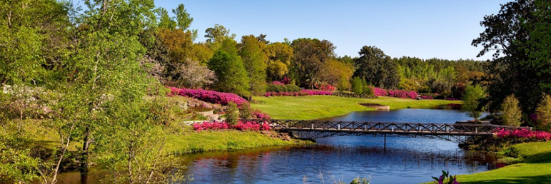 5 Daily Factors Contributing to Vitiligo That Cannot Be Ignored!